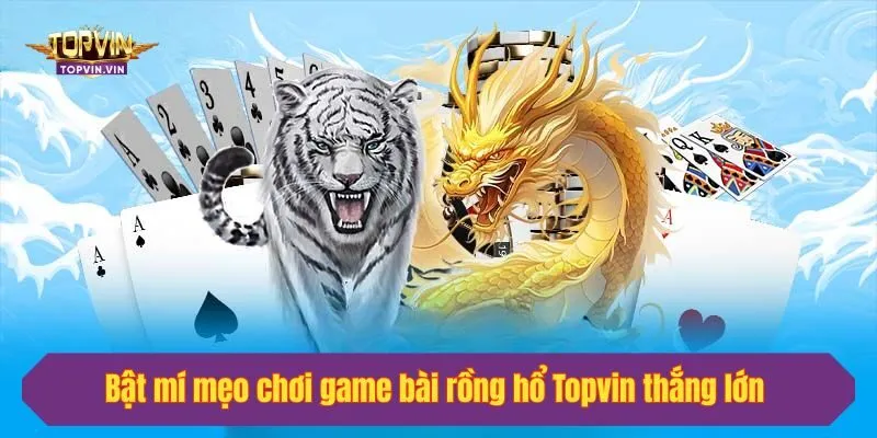 Bật mí mẹo chơi game bài rồng hổ Topvin thắng lớn