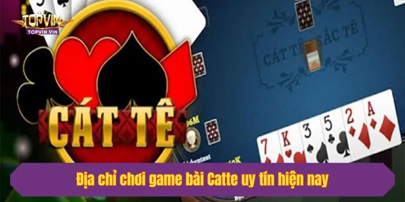 Địa chỉ chơi game bài Catte uy tín hiện nay