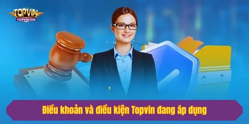 Điều khoản và điều kiện Topvin đang áp dụng