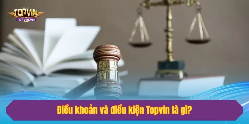 Điều khoản và điều kiện Topvin là gì?