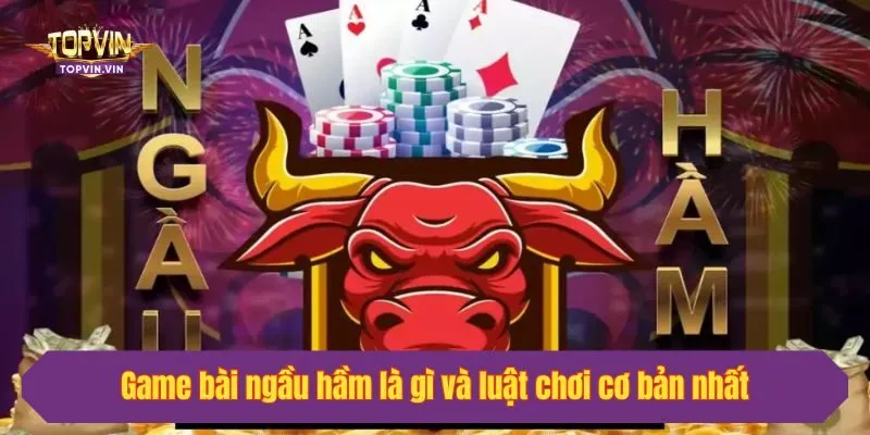 Game bài ngầu hầm là gì và luật chơi cơ bản nhất