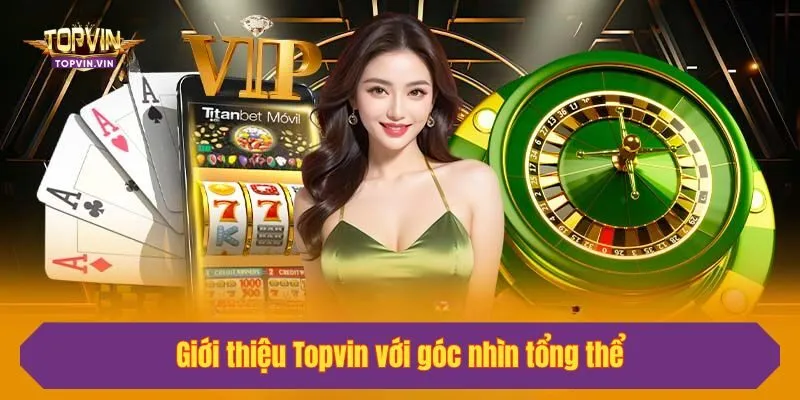Giới thiệu Topvin với góc nhìn tổng thể
