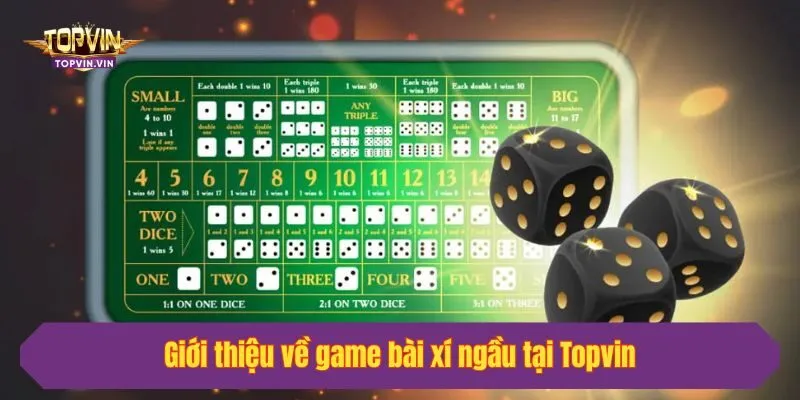 Giới thiệu về game bài xí ngầu tại Topvin
