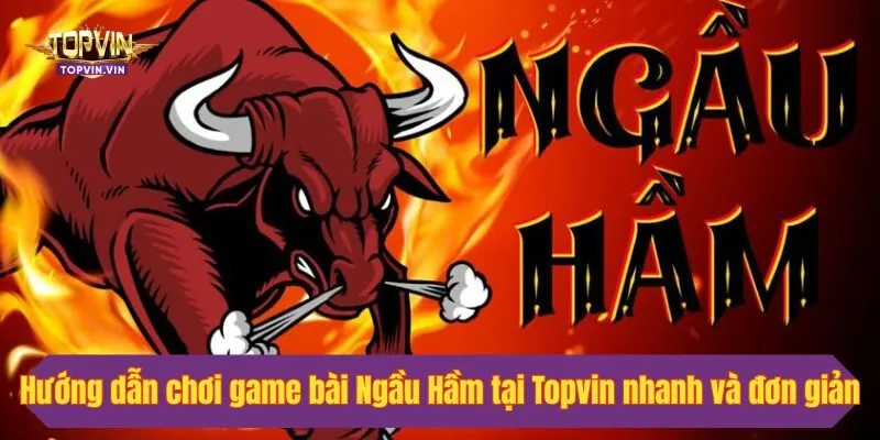 Hướng dẫn chơi game bài Ngầu Hầm tại Topvin nhanh và đơn giản