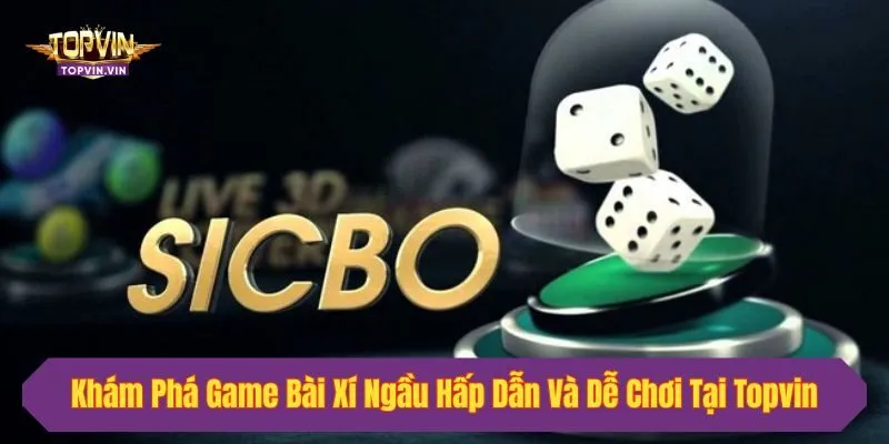 Khám Phá Game Bài Xí Ngầu Hấp Dẫn Và Dễ Chơi Tại Topvin