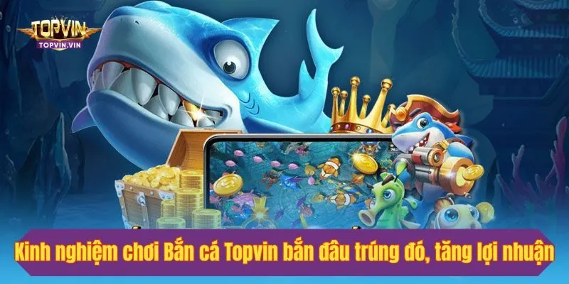 Kinh nghiệm chơi Bắn cá Topvin bắn đâu trúng đó, tăng lợi nhuận